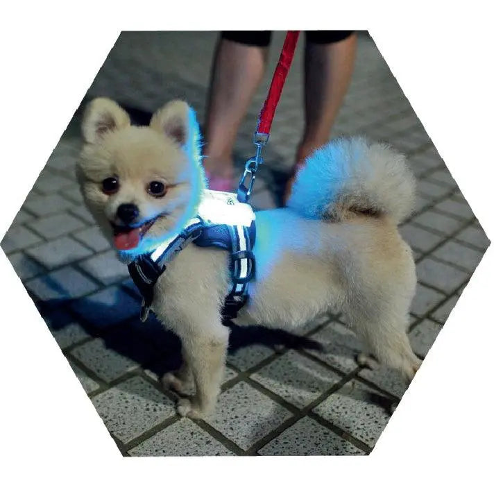 LED USB Rechargeable Light-Up Pet Harness – USB Rechargeable, Adjustable, Safe for Night Walks & Outdoor Visibility Dog Hugs Cat