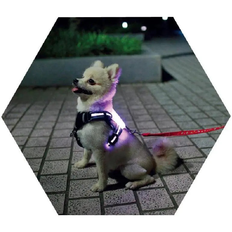 LED USB Rechargeable Light-Up Pet Harness – USB Rechargeable, Adjustable, Safe for Night Walks & Outdoor Visibility Dog Hugs Cat