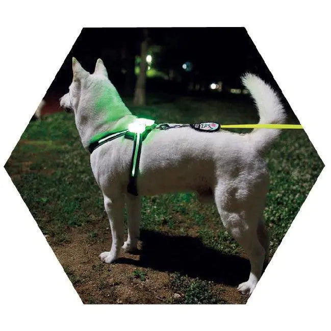 LED USB Rechargeable Light-Up Pet Harness – USB Rechargeable, Adjustable, Safe for Night Walks & Outdoor Visibility Dog Hugs Cat