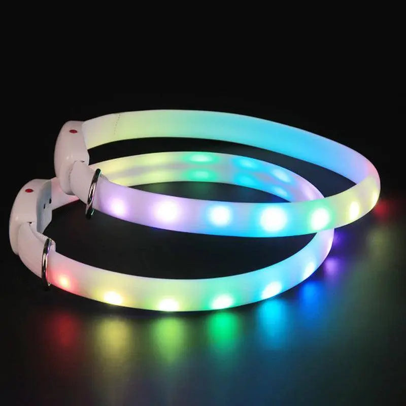 LED Light-Up Dog Collar – USB Rechargeable, Adjustable, Safe for Night Walks & Outdoor Visibility Dog Hugs Cat