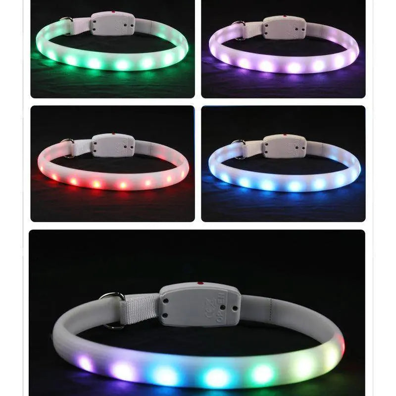 LED Light-Up Dog Collar – USB Rechargeable, Adjustable, Safe for Night Walks & Outdoor Visibility Dog Hugs Cat