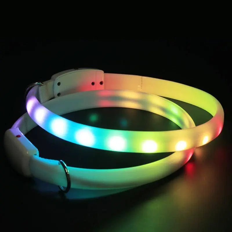LED Light-Up Dog Collar – USB Rechargeable, Adjustable, Safe for Night Walks & Outdoor Visibility Dog Hugs Cat