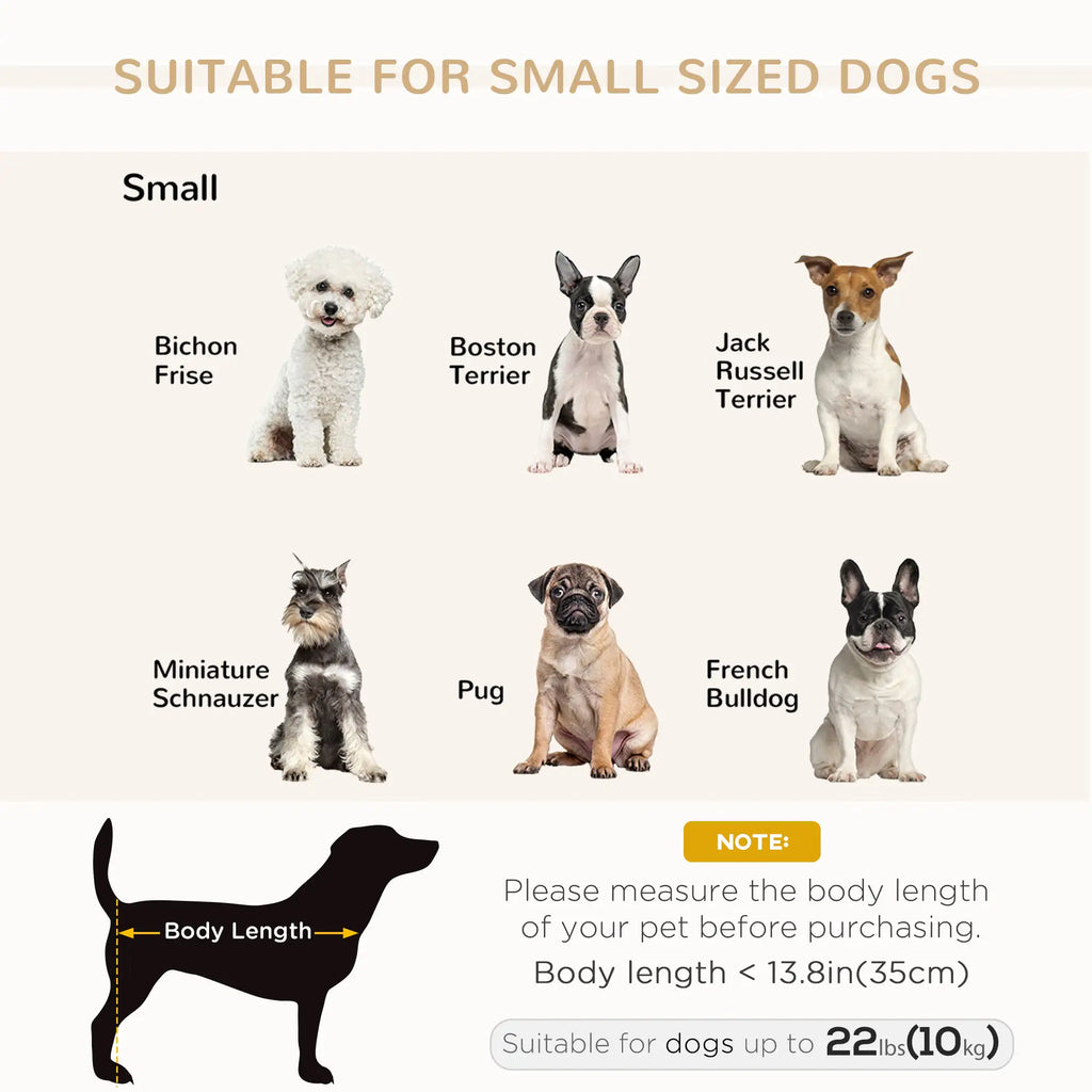 Chic Small Dog Lounger with Storage