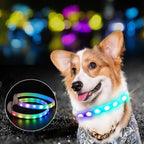LED Light-Up Dog Collar – USB Rechargeable, Adjustable, Safe for Night Walks & Outdoor Visibility Dog Hugs Cat