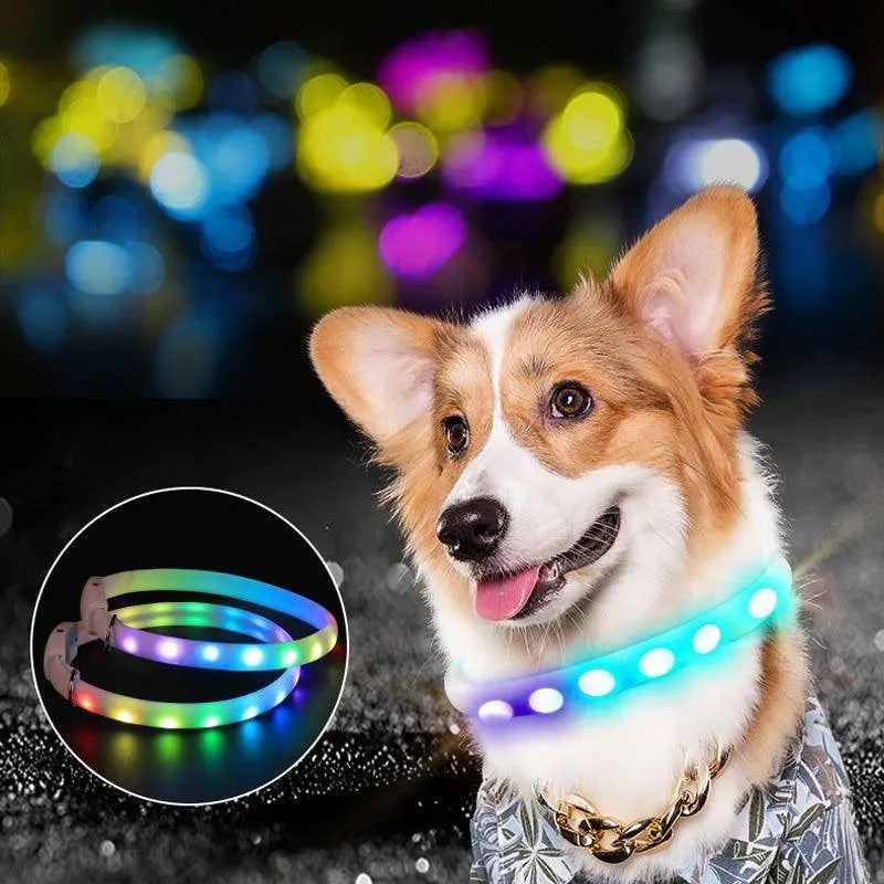 LED Light-Up Dog Collar – USB Rechargeable, Adjustable, Safe for Night Walks & Outdoor Visibility Dog Hugs Cat