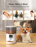 Smart Automatic Pet Feeder NovaNest Co.